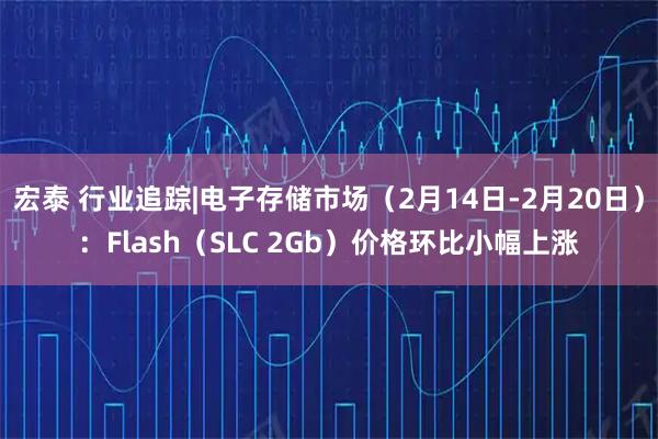 宏泰 行业追踪|电子存储市场（2月14日-2月20日）：Flash（SLC 2Gb）价格环比小幅上涨