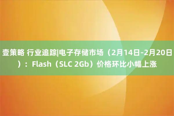 壹策略 行业追踪|电子存储市场（2月14日-2月20日）：Flash（SLC 2Gb）价格环比小幅上涨