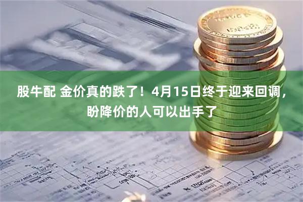 股牛配 金价真的跌了！4月15日终于迎来回调，盼降价的人可以出手了