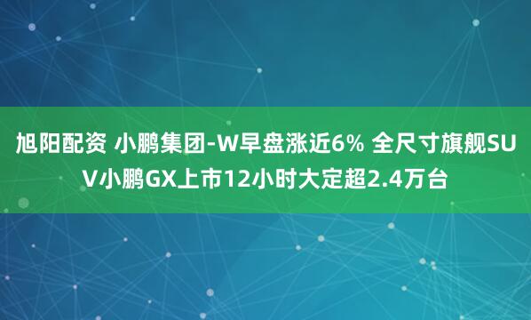 旭阳配资 小鹏集团-W早盘涨近6% 全尺寸旗舰SUV小鹏GX上市12小时大定超2.4万台