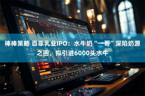 棒棒策略 百菲乳业IPO：水牛奶“一哥”深陷奶源之困，拟引进6000头水牛